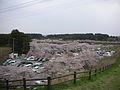 2015年4月20日 (月) 01:42時点における版のサムネイル