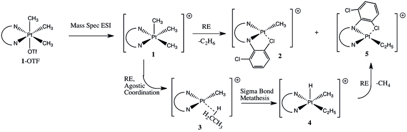 File:C-C bond coupling.tif