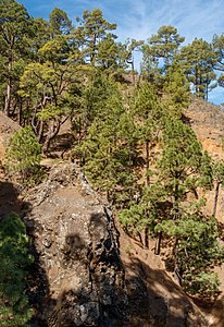 Barranco Caldera de Taburiente La Palma