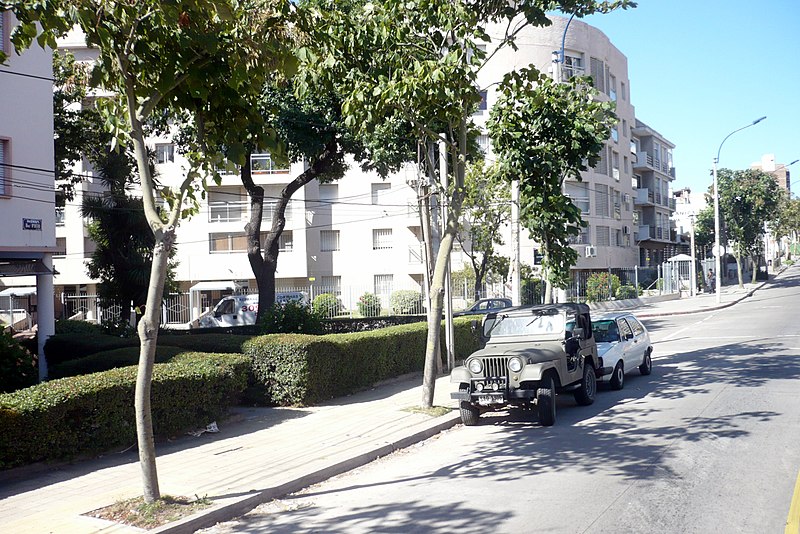 File:Calle Avenida General Rivera - panoramio (13).jpg