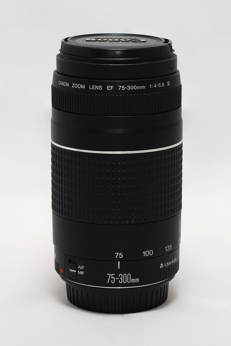 Canon Ef 75 300mm Lens Wikipedia