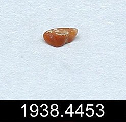 Carnelian, Yale University Art Gallery, inv. 1938.4453