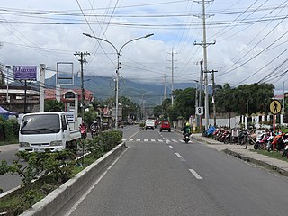 <span class="mw-page-title-main">Cebu North Road</span> Road in Cebu, Philippines