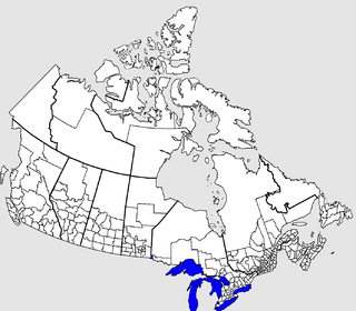 Census geographic units of Canada term used in Canada