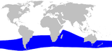 Aire de répartition du Mésoplodon de Gray