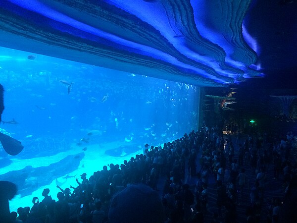 Whale Shark Aquarium