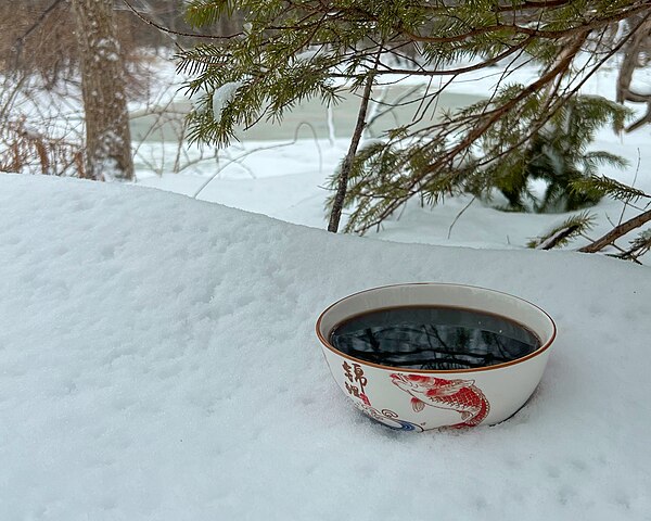 A traditional Chinese herbal decoction (湯劑/汤剂)