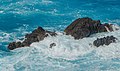 Coast - Porto Moniz - Madeira 01.jpg