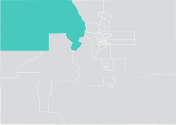 Colorado Senato Bölgesi 8 (2010) .png