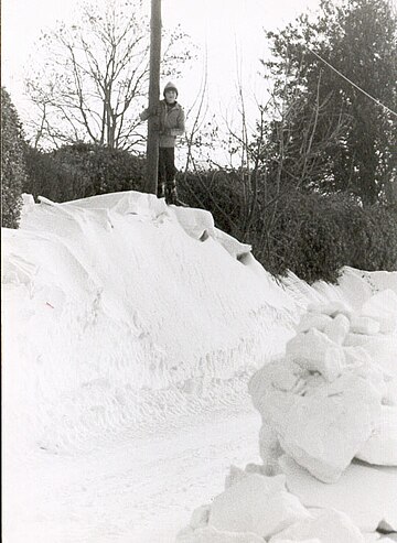 Vague de froid de l'hiver 1954 en France