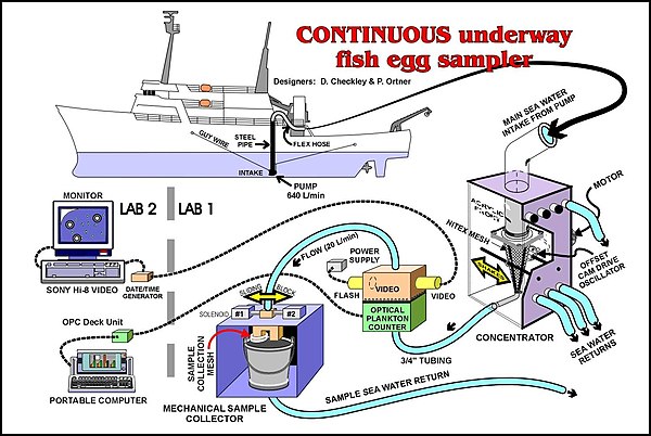 In addition to net tows, plankton is collected while the research vessel is moving using a Continuous Underway Fish Egg Sampler, or CUFES. Water is pu