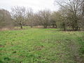 Copthall South Fields-tres.JPG