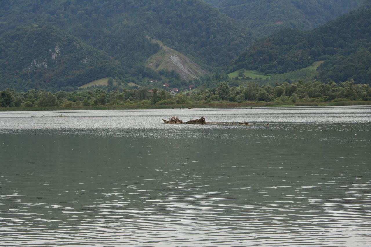 Zvorničko jezero, pecanje