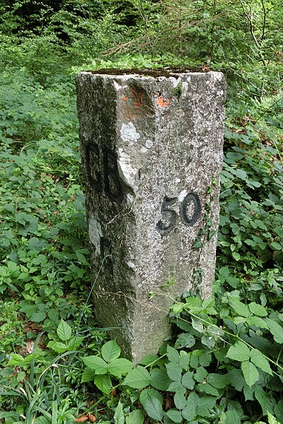 File:D-BW-KN-Gailingen + CH-SH-Ramsen - Grenzstein Nr 50.jpg