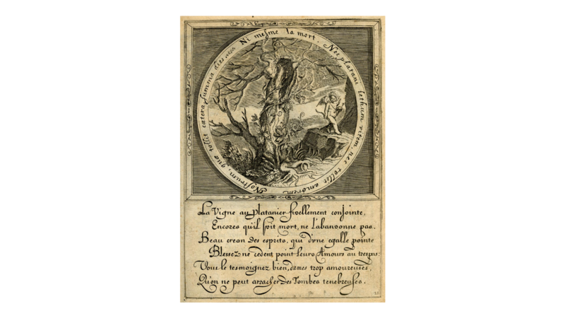 File:DE GHEYN nec tollit amorem 1600.png