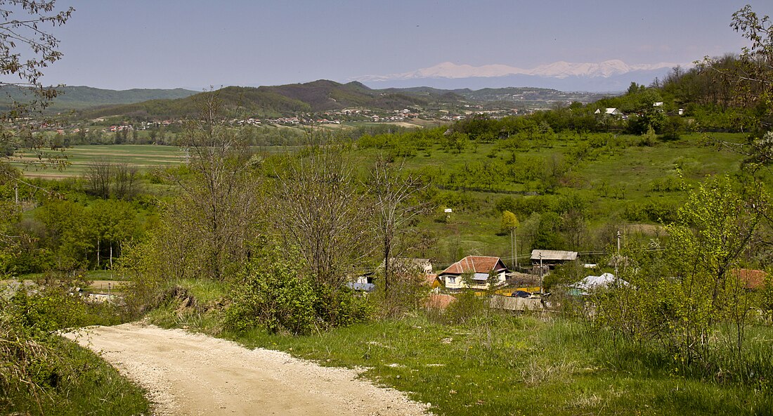 Sinești (Vâlcea)