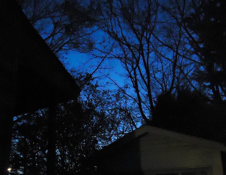 File:Deep blue sky in twilight with trees and garage.JPG