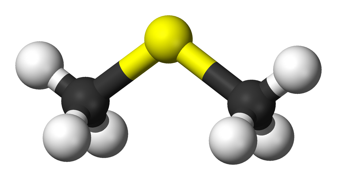 Dimethylsulfid