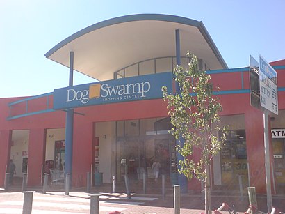 How to get to Dog Swamp with public transport- About the place