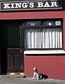Dog waiting outside a bar in Clifden, Ireland.jpg
