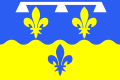 Vlag van Loir-et-Cher (41)