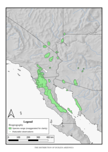 Dudleya arizonica distribution.png