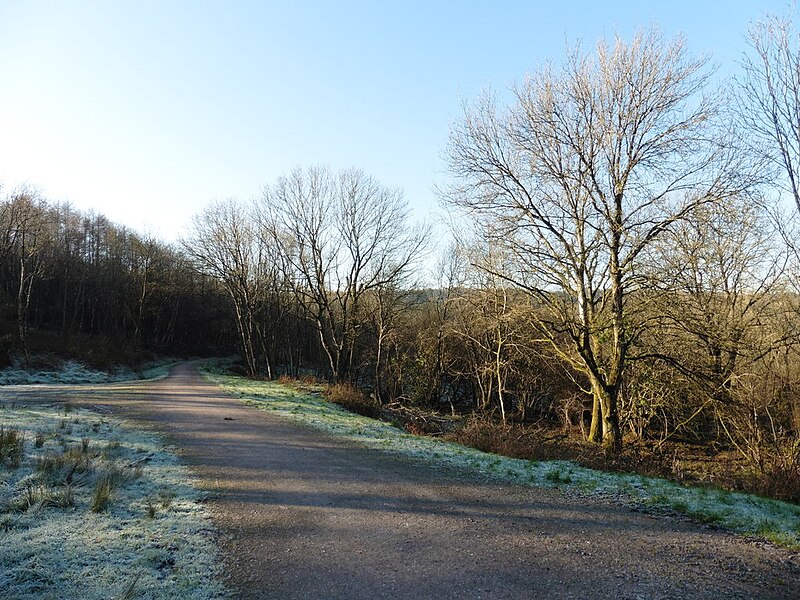 File:East Deane Way - geograph.org.uk - 4799007.jpg