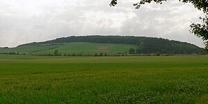 Edesheimer Wald