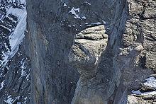 The mushroom (Pilz) of the Eiger Eiger Pilz-Mushroom.jpg