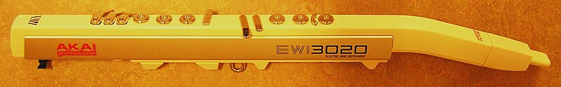 File:Electronic Wind Instrument.jpg