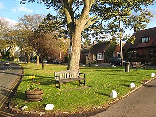 <span class="mw-page-title-main">Elwick, County Durham</span> Village in County Durham, England