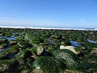 Emma Wood State Beach, rocks and tide pools at low tide, 2018.jpg