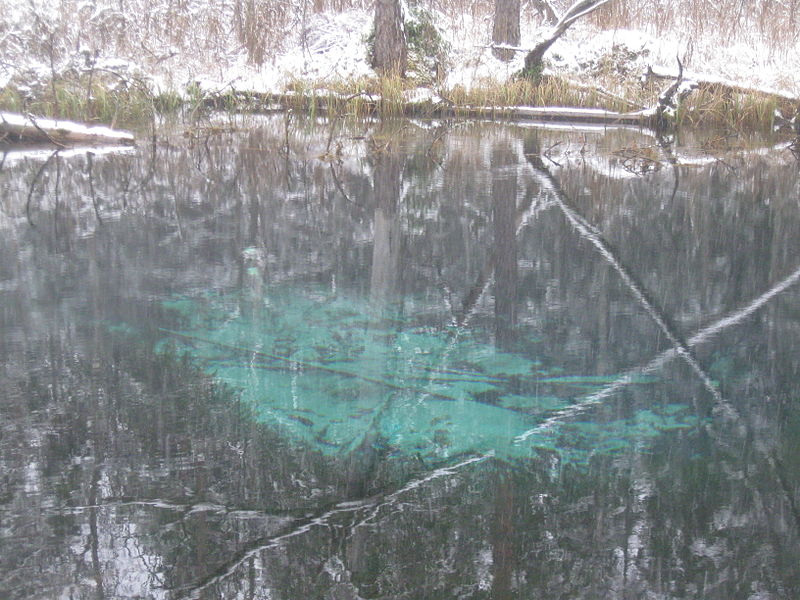 File:Endla Nature Reserve (Gardmanahay) 3.JPG