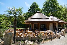 Meerkat lodge of the Krefeld zoo (2017) ErdmannchenLodge.jpg