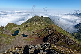 Image illustrative de l’article Étangs de la Montagnette