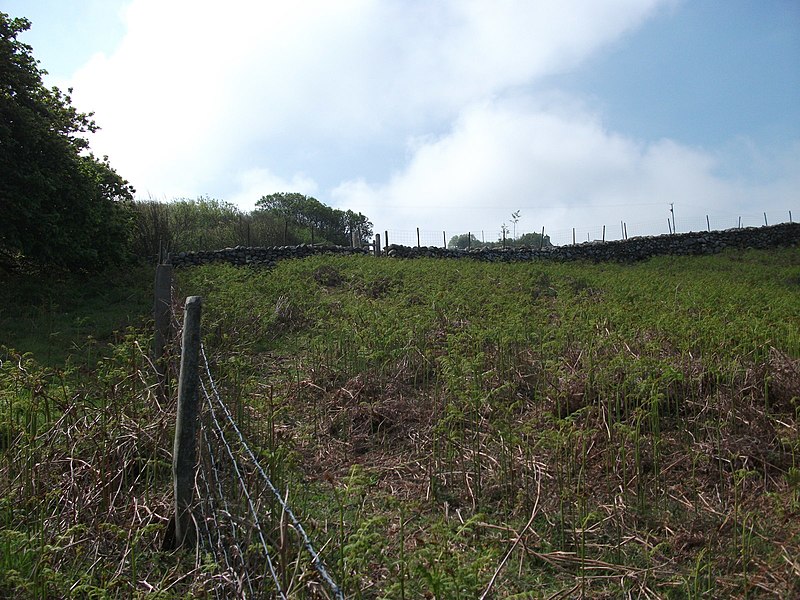 File:Every walkers nightmare - geograph.org.uk - 2982441.jpg