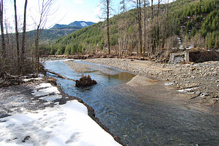 <span class="mw-page-title-main">Tilton River</span> River in Washington, United States