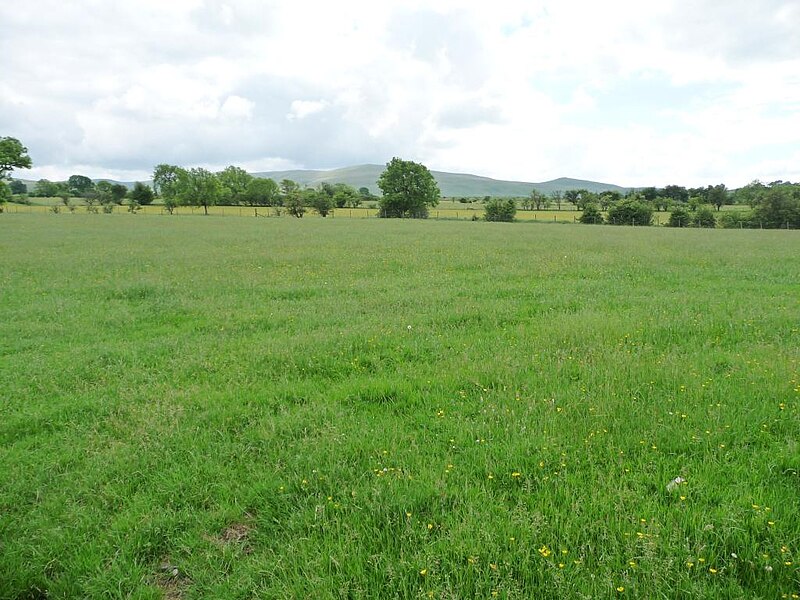 File:Farmland between Parkend and Long Lea - geograph.org.uk - 5017208.jpg