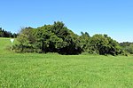 Geschützter Landschaftsbestandteil Feldhecken Lüling