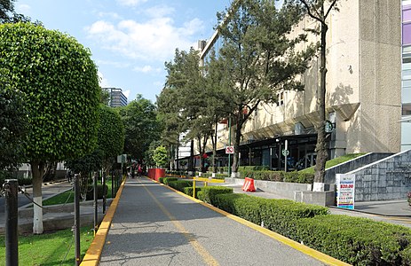 Bikeway in Mexico City