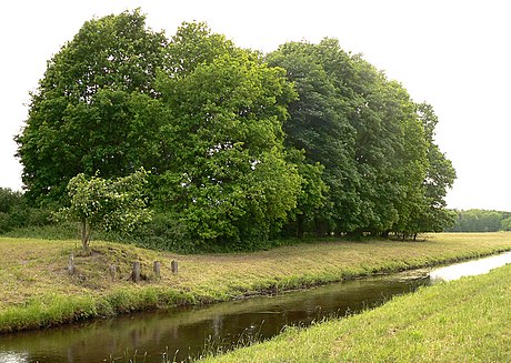 Burg Hodenhagen