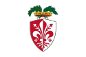 Provincia di Firenze – Bandiera
