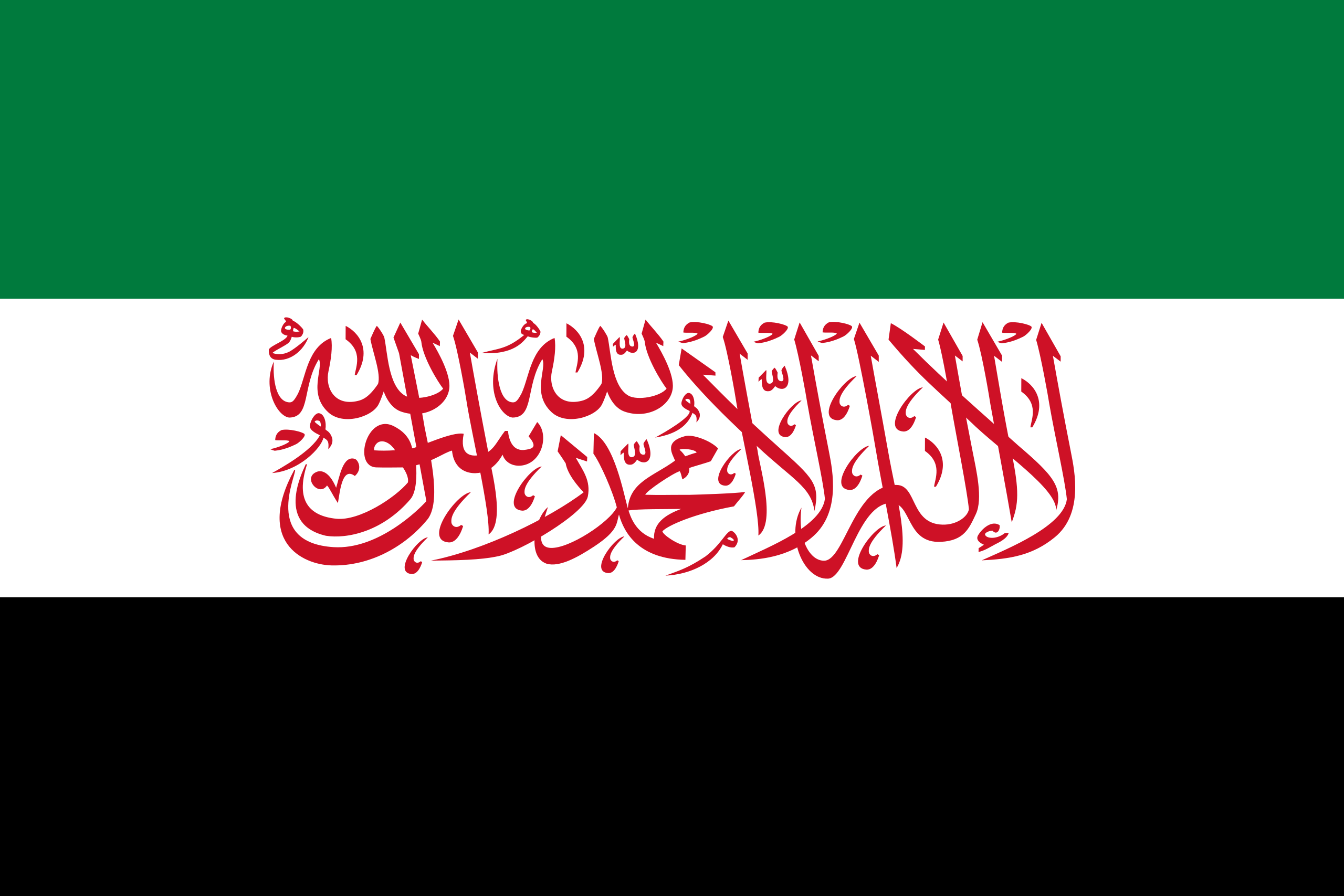 File:Flag of the Syrian Salvation Government.svg - Wikipedia