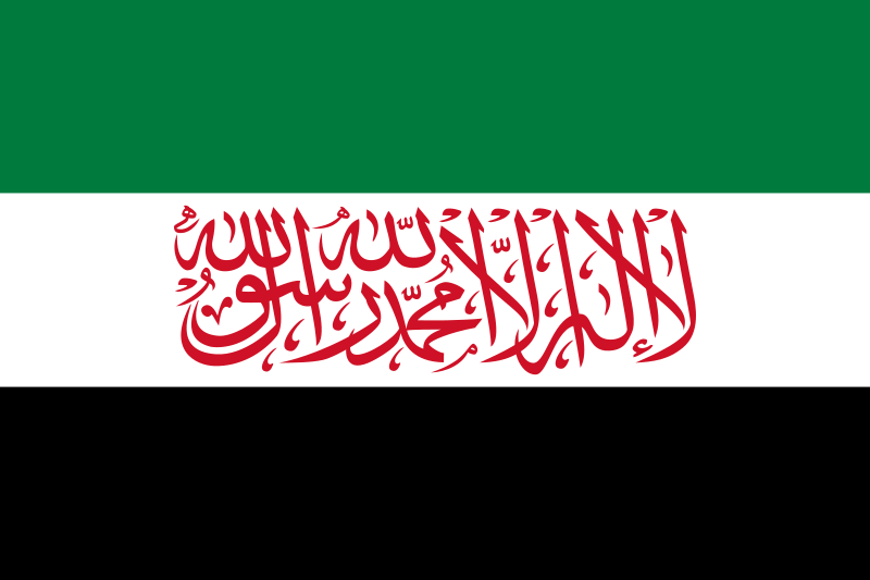 File:Flag of the Syrian Salvation Government.svg