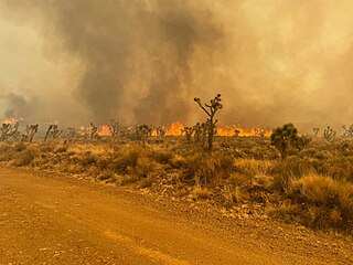 <span class="mw-page-title-main">York Fire</span> 2023 wildfire in California and Nevada