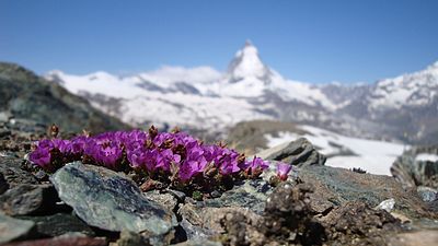 6th place. Matterhorn/Cervin (4478m)