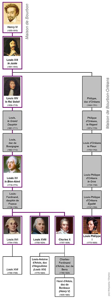 French kings from House of Bourbon. Family tree