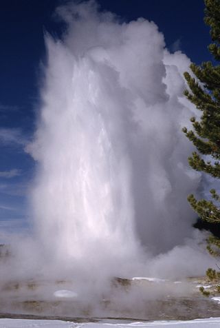 <span class="mw-page-title-main">Giant Geyser</span> Geyser in Yellowstone National Park