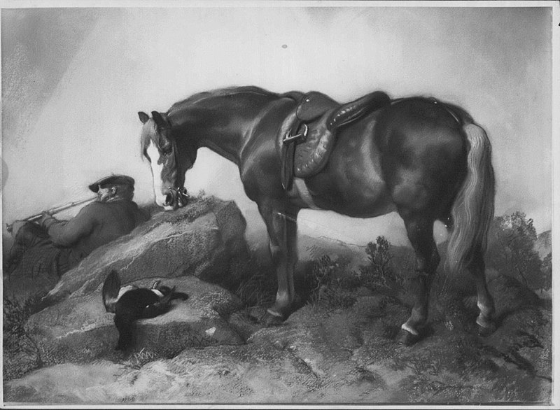 File:Gilbert Sprague (1811-75) - Brechin - RCIN 405457 - Royal Collection.jpg