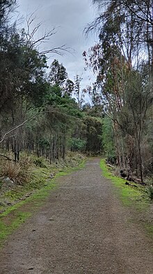 Rose Bay is home of Gordons Hill Nature Recreation Area, suitable for walking, running and mountain biking. Gordons Hill Nature Reserve.jpg